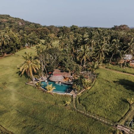 Nelu Resort Sigiriya Esterno foto