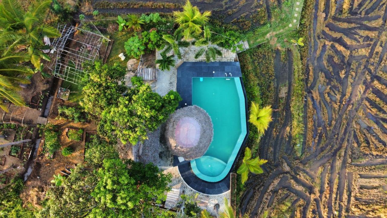 Nelu Resort Sigiriya Esterno foto