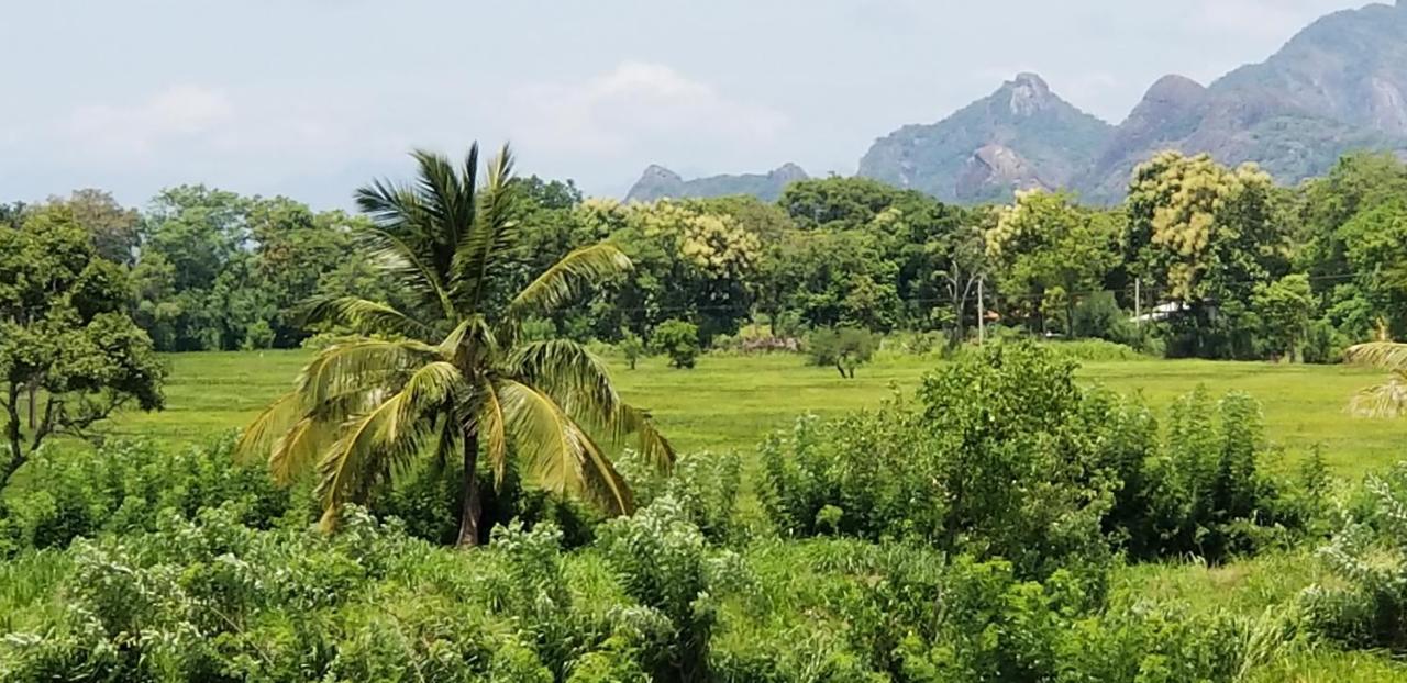 Nelu Resort Sigiriya Esterno foto