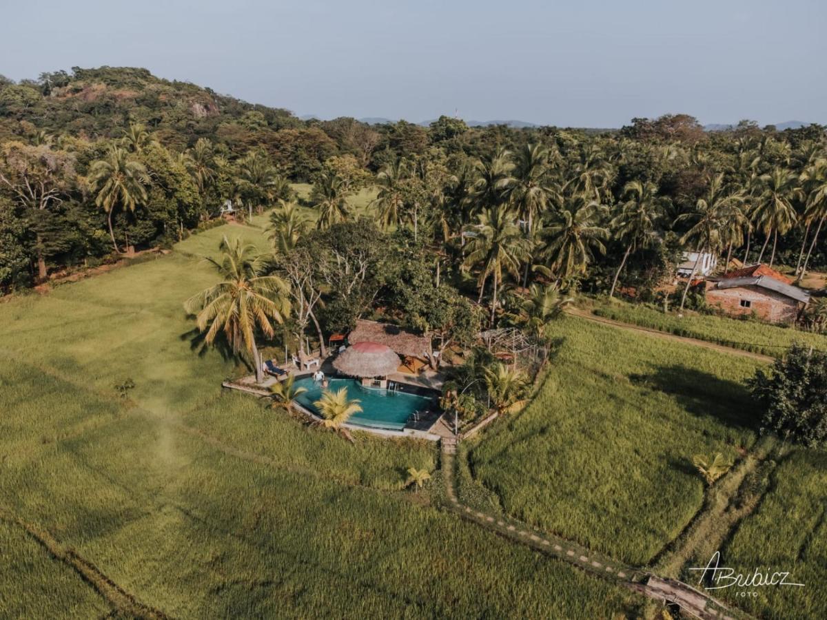 Nelu Resort Sigiriya Esterno foto