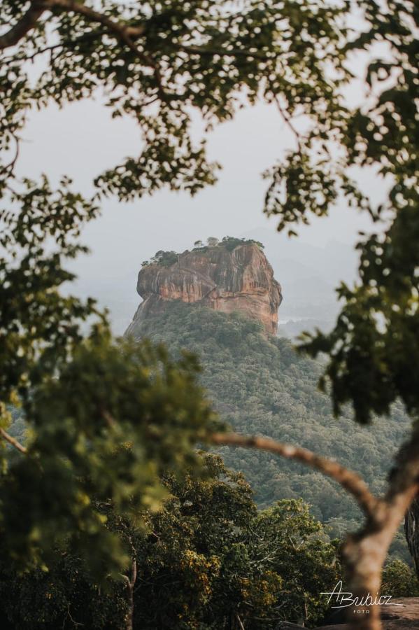 Nelu Resort Sigiriya Esterno foto