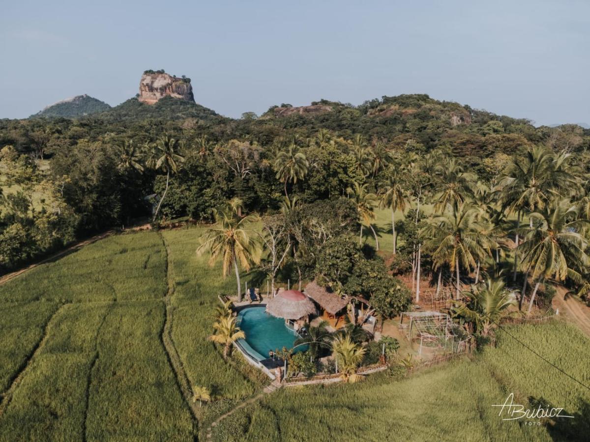Nelu Resort Sigiriya Esterno foto